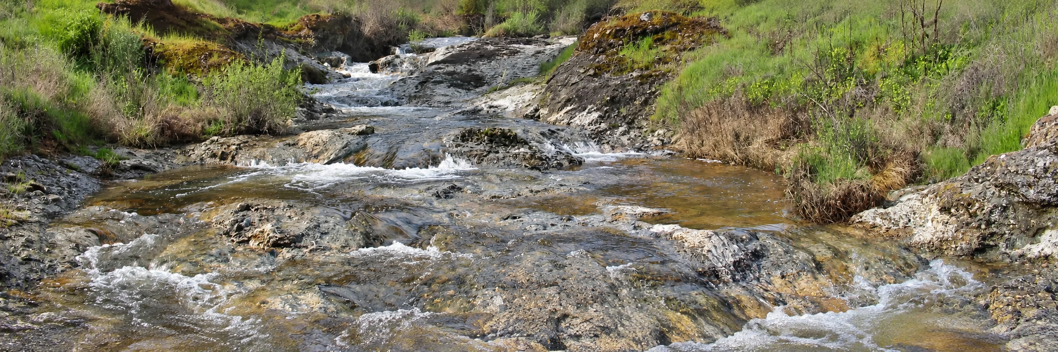 Shallow water flowing over a rocky creek bed between green banks